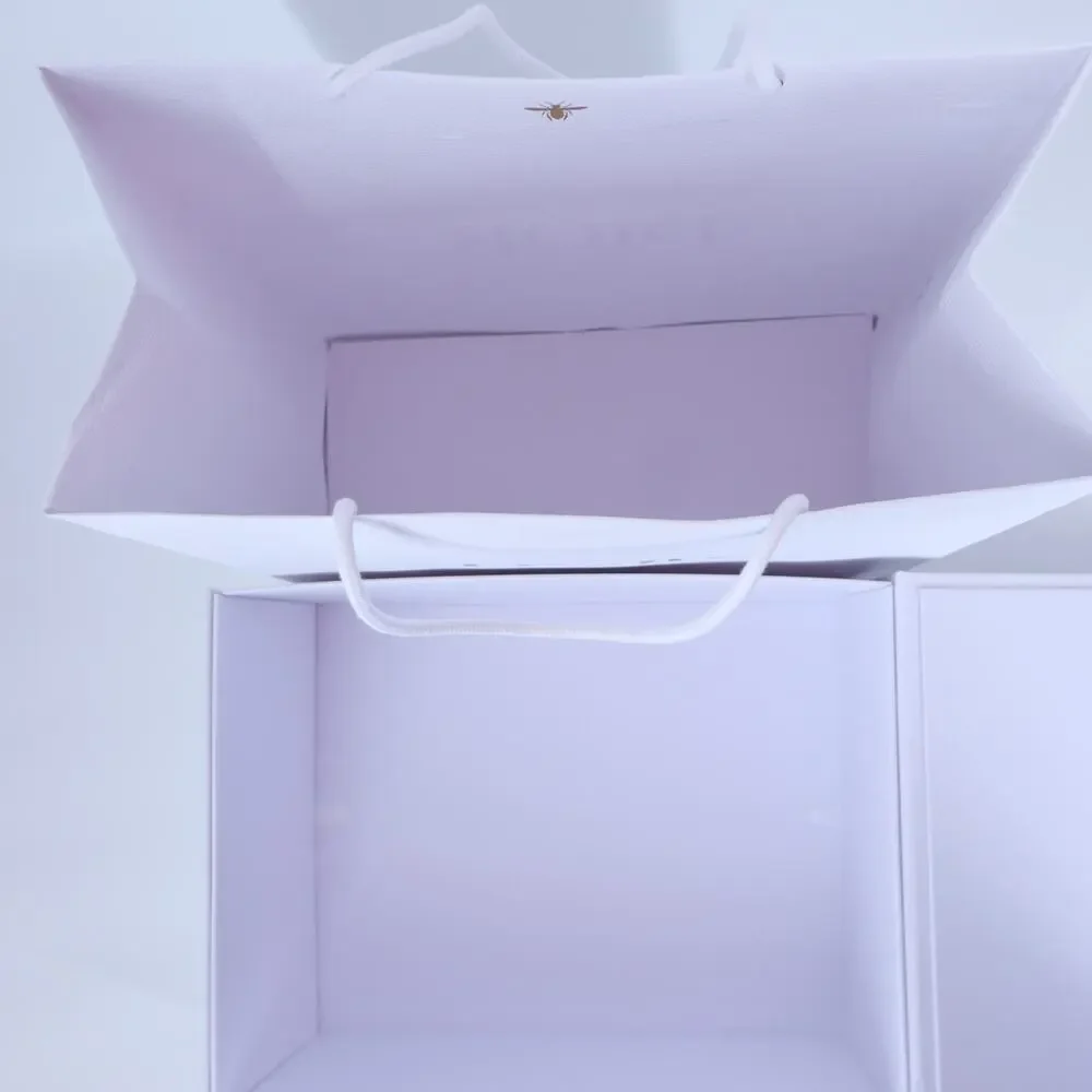 DIOR White Pebbled Flip Top Tab Closure Gift Box with Carry Bag